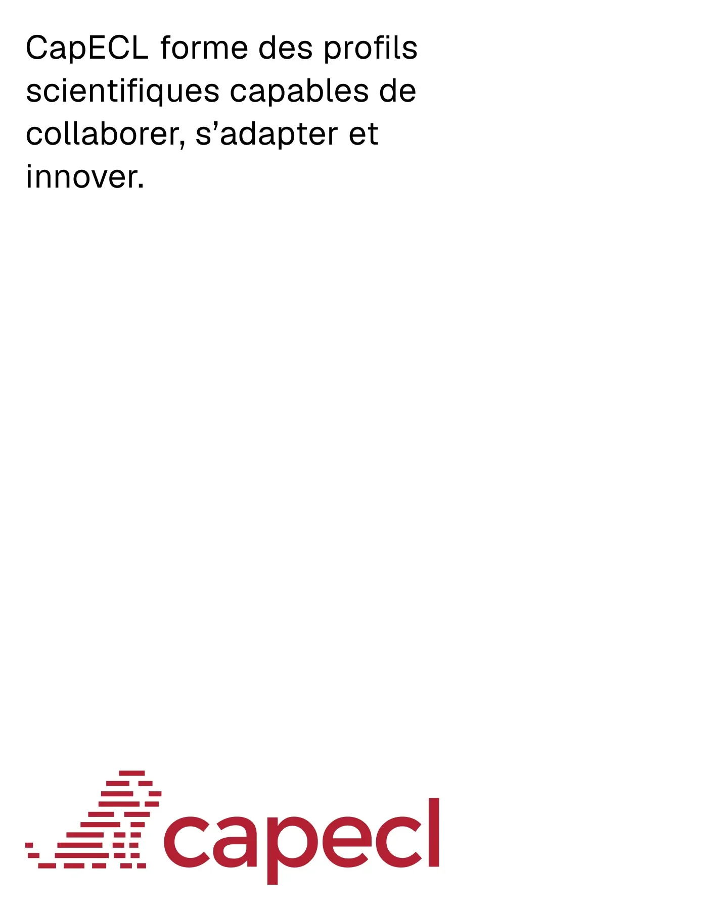 CapECL programme statement with the red wordmark